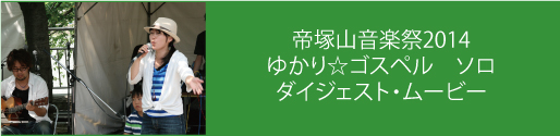 tezukayama2014_solo